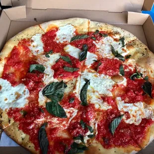 Margherita Pizza