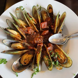 Steamed Green-Lipped Mussels