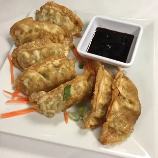 Vegetarian Dumplings