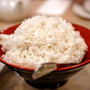 Rice