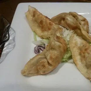 Pot Stickers