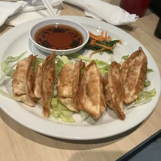 Fried Or Steamed Dumplings