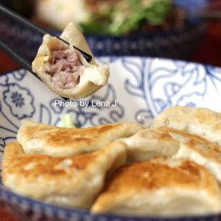 Inside of Hand Made Pot Stickers 手工锅贴 ($11.99) - dumpling wrappers are thick and doughy.