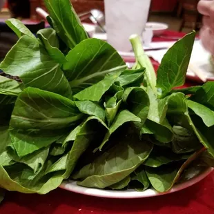 Choy Sum Vegetable!  5.18.23!