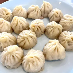 Steamed Juicy Dumplings