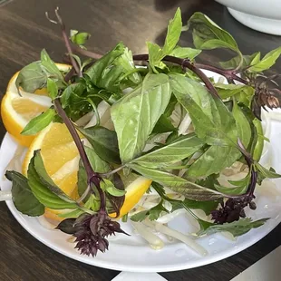 Basil, cilantro and sprouts
