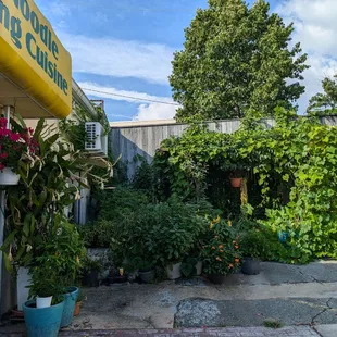 Tiny garden packed with cool veggies.