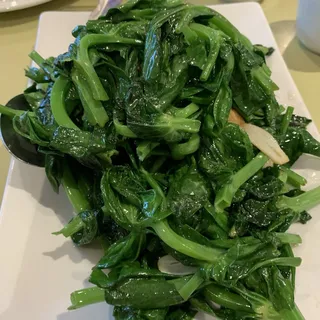 Snow Pea Leaves