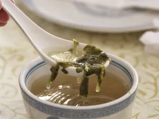 Yan Zi Lou