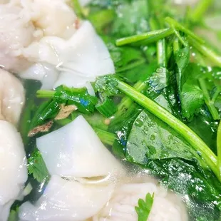 WON TON SOUP WITH NOODLES