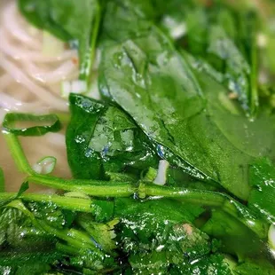 WON TON SOUP WITH NOODLES