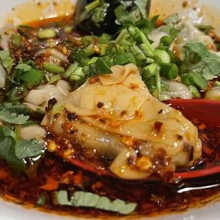 Wonton Noodle Soup and Choice of Appetizers