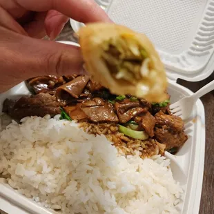a hand holding a piece of food