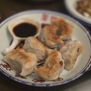 Pork fried dumplings
