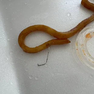 Found in our beef udon