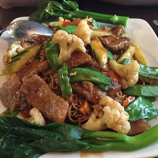 Pan Fried Noodles