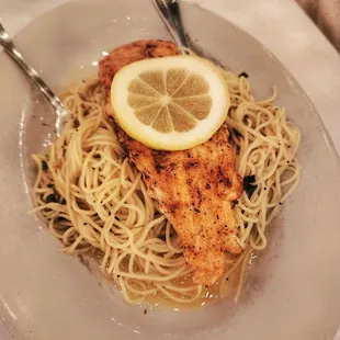 Salmon