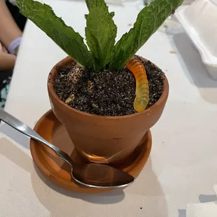 Chocolate Mousse