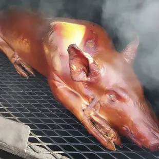 Whole Hog