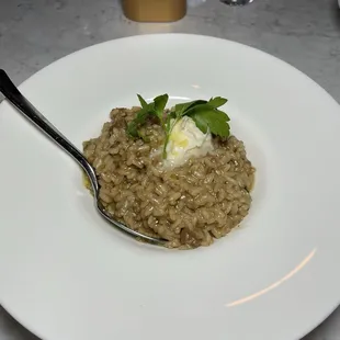 Fungi Truffle Risotto