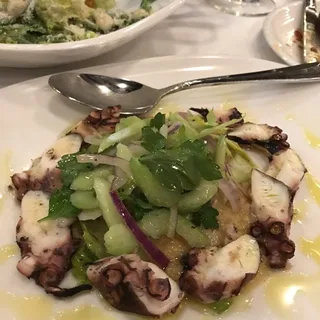 Octopus