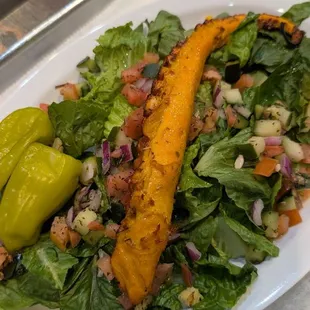 Grilled octopus appetizer. Very tender!