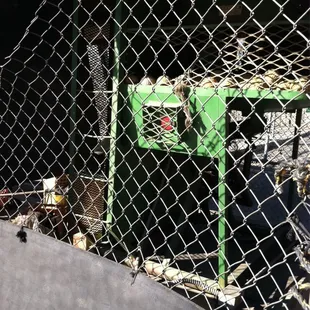 Professional Iron Mike Pitching Machine is the most dependable using practice machine of the Professional Baseball Players