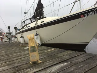 Delta Sailing School