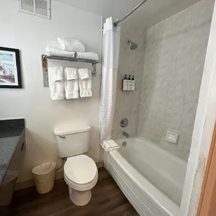 Standard Bathroom