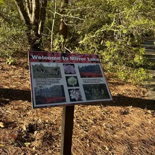 Mirror Lake