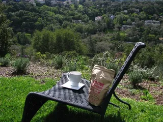 Rogue Elephant Coffee Roasting Company