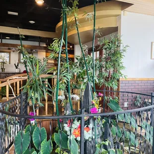 a view of a restaurant from the balcony