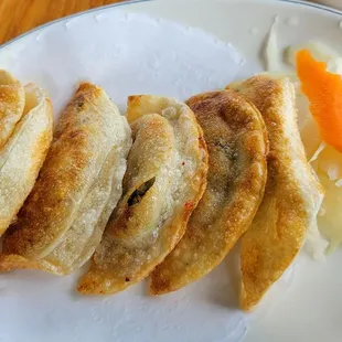 Fried Dumplings