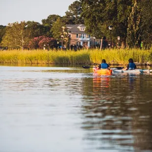 Kayaking down Knitting Mill Creek
