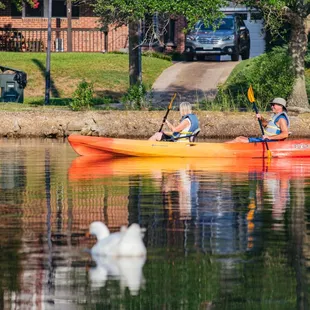 One of our sit on top tandem kayaks.  If you've never been on a tandem, give it a go!