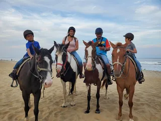 Virginia Beach Horseback