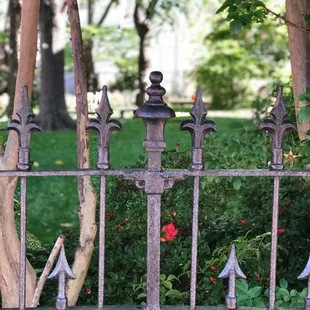Wrought-iron fencing of the Freemason Neighborhood
