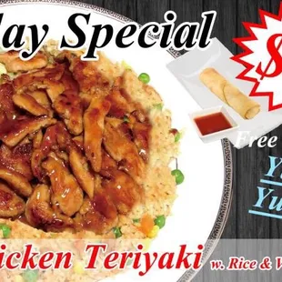 a plate of chicken teriyaki