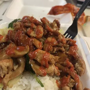 Teriyaki Chicken