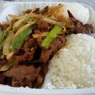 Mongolian Beef