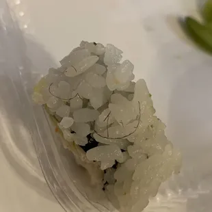 Hair in multiple dishes.