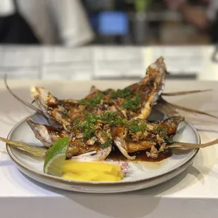 oysters and mussels, food