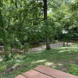 Seating out back by the creek.