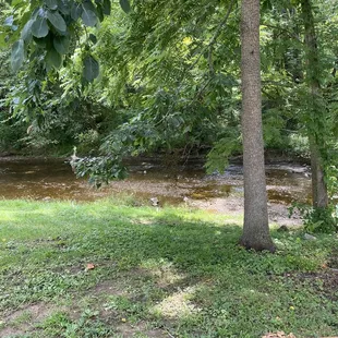 Seating out back by the creek.