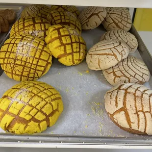 Conchas