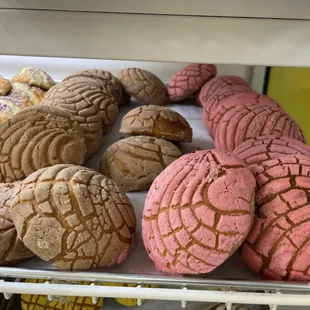 Conchas