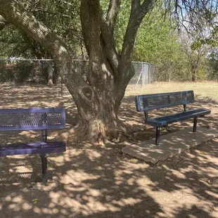 Benches in plenty of shade
