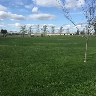 Nice field. Baseball field in the background