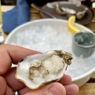 Oyster