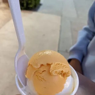 coconut scoop and taste of mango. Owner super sweet. Small does not come with option of 2 scoops but he allowed taste since it was late.